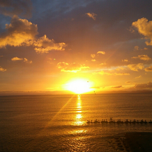 草莓视频未满十八岁禁止观
